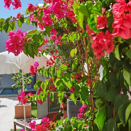Gorgeous Townhouse In Centre, Shared Pool Σπίτι διακοπών *